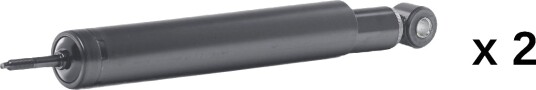 RIDEX 854S20898 Støtdemper