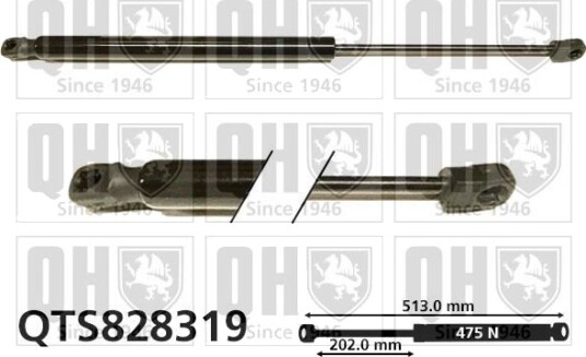 Baklukedemper QUINTON HAZELL QTS828319