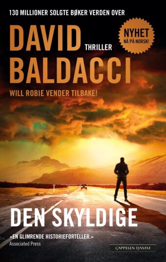 Den Skyldige Av David Baldacci