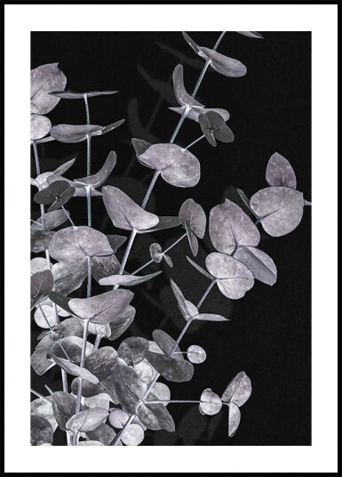 Pictufy Studio Iii Eucalyptus_Negative No.3 Plakat Plakat / 50x70cm
