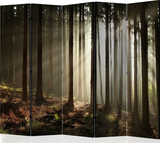 Romdeler Coniferous Forest II - Artgeist sp. z o. o.
