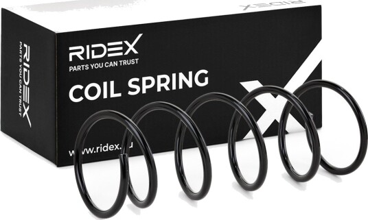 RIDEX 188C0196 Fjær
