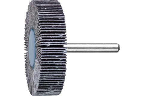 Pferd Slipebørste 44460120 Silisiumkarbid Metall Rund 6 mm Pferd Slipebørste 44460120 Silisiumkarbid Metall Rund 6 mm