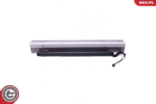 Elektromotor bakluke ESEN SKV 52SKV904