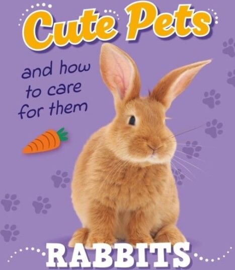 Cute Pets! And How to Care For Them: Rabbits Cute Pets! And How to Care For Them: Rabbits