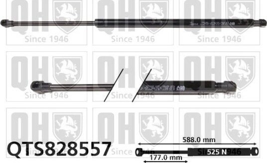 QUINTON HAZELL QTS828557 Baklukedemper