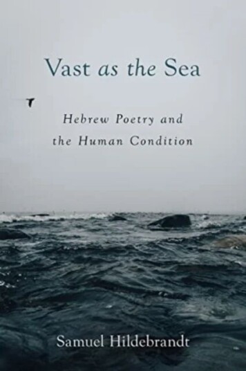 Vast As The Sea Av Samuel Hildebrandt