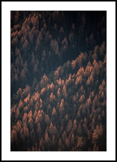 Autumn Woods 2 Plakat / 100x150cm