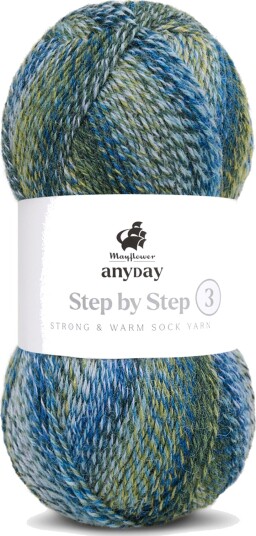 Mayflower ANYDAY Step by Step 3
