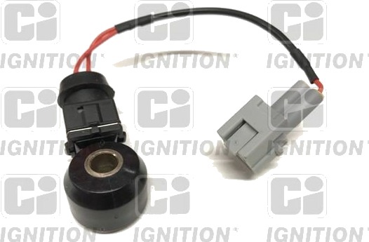 Bankesensor QUINTON HAZELL XKS134
