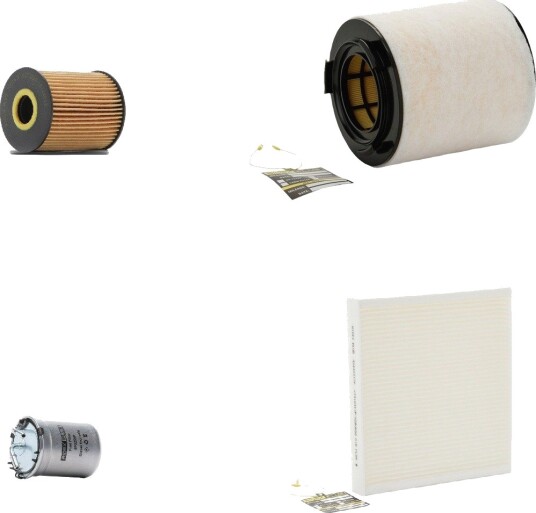 Filtersett RIDEX PLUS 4055F29147P