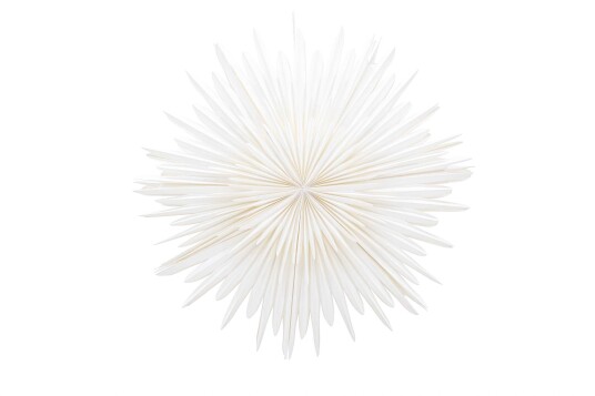 Venture Design Sälen adventsstjerne Hvit 100 cm Hvit Venture Design Sälen adventsstjerne Hvit 100 cm Hvit