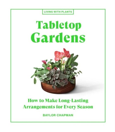 Tabletop Gardens Av Baylor Chapman