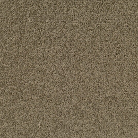 Teppeflis   DESSO Palatino   A072 2929
