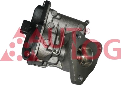 EGR Ventil AUTLOG AV6210