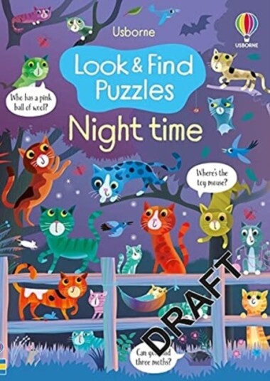 Look and Find Puzzles Night time