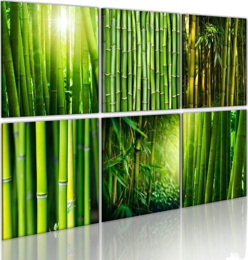 Bilde Bamboo Has Many Faces 120x80 Artgeist sp. z o. o.