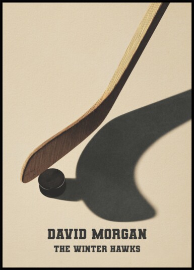 Hockey Stick and Puck Shadow Poster Plakat / 40x50