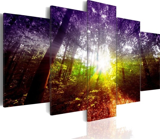 Bilde Rainbow Forest 200x100 Artgeist sp. z o. o.