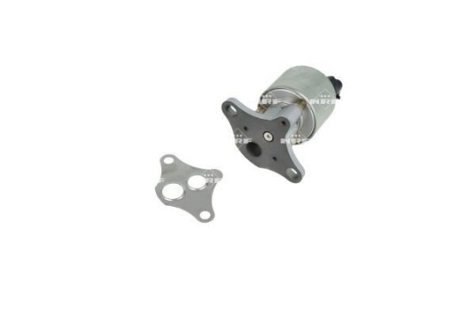 EGR Ventil NRF 48719