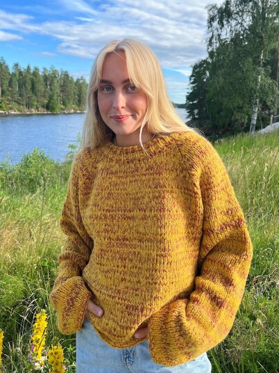 ØK 01-06 Øyunn raglangenser