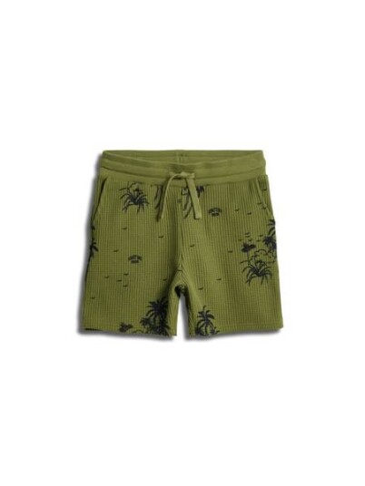 Sometime Soon Bahamas shorts - mayfly