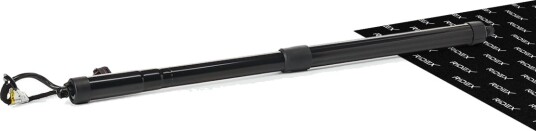 RIDEX 219G1793 Baklukedemper