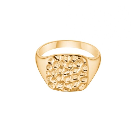 Avilé Jewelry Hammy Ring 18 kt. Gullbelagt sølv DI023-F-50 - Dame - 925 sterling silver