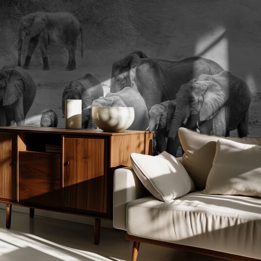 Tapet Elefant Samling Tapet Elefant Samling