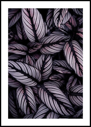 Purple Leaves Plakat Plakat / 70x100cm