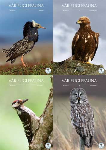Norsk Ornitologisk Forening Vår Fuglefauna   2009  hele årgang 32
