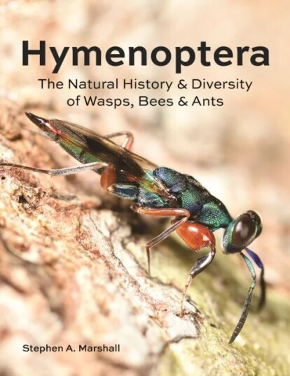 Hymenoptera Av Stephen A Marshall