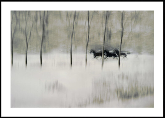 three Plakat Plakat / 100x150cm three Plakat Plakat / 100x150cm