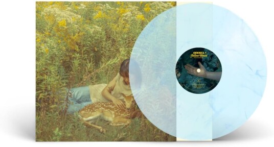 Odesza & Yellow House, Odesza, Yellow House Flaws In Our Design LP/Vinyl Odesza & Yellow House, Odesza, Yellow House Flaws In Our Design LP/Vinyl