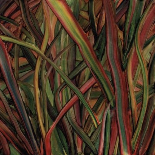 Gengahr Where Wilderness Grows CD Gengahr Where Wilderness Grows CD