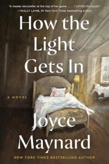 How the Light Gets In  A Novel
