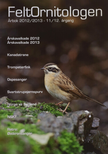 Feltornitolgene Feltornitologen Årbok 2012/2013 Feltornitolgene Feltornitologen Årbok 2012/2013