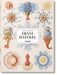 The Art And Science Of Ernst Haeckel Av Julia Voss, Rainer Willmann