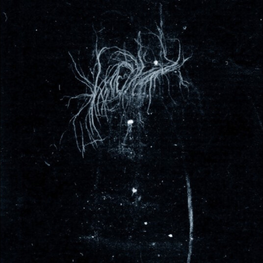 My Heart, An Inverted Flame My Death Is More Beautiful Than Your Life CD