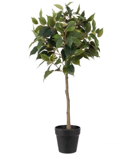Mr Plant Kunstig Plante Fiken H75 Mr Plant Kunstig Plante Fiken H75