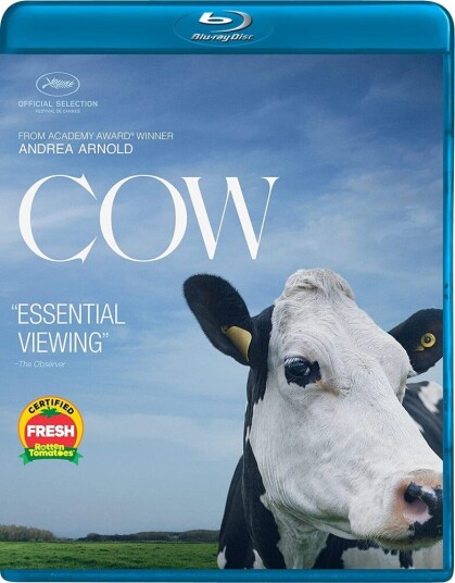 Cow Bluray Cow Bluray