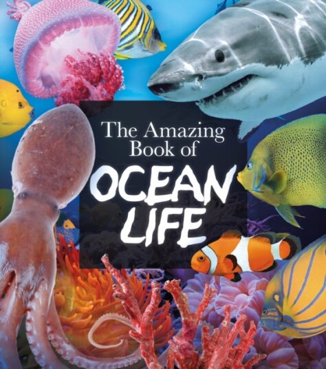 The Amazing Book of Ocean Life The Amazing Book of Ocean Life
