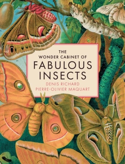 The Wonder Cabinet of Fabulous Insects Secrets of the World’s Rarest and Strangest Insects
