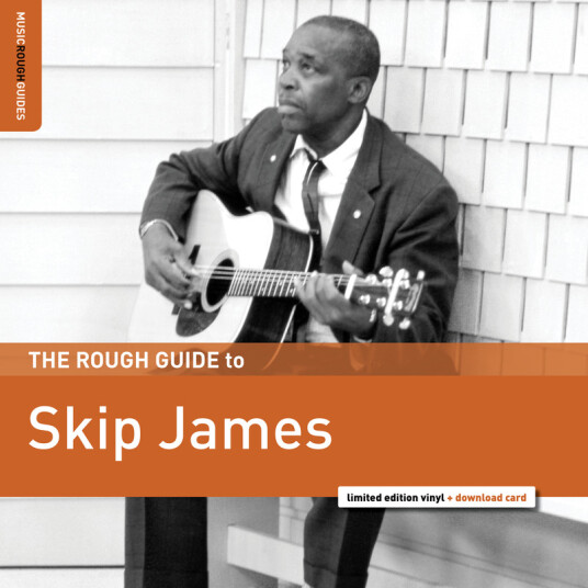 Skip James The Rough Guide To Skip James Vinyl