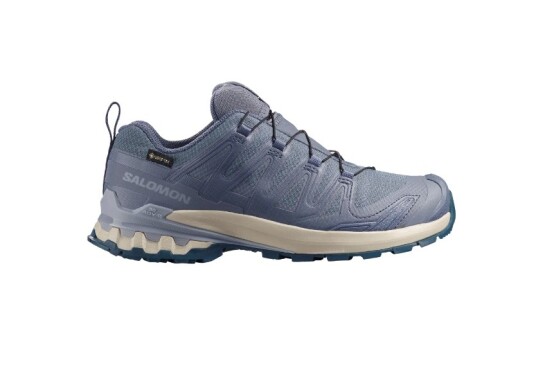 Salomon XA PRO 3D V9 GTX Dame Grisaille/Tradewinds 40