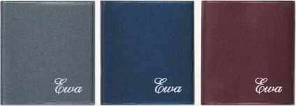 Telegraph Calendar 2018 Pocket Ewa Mix (246207)