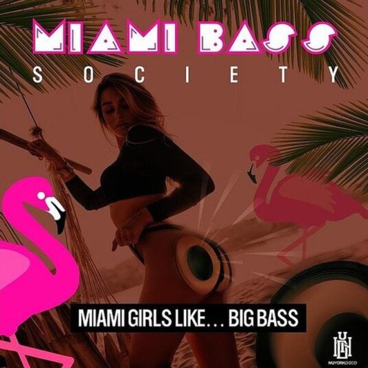 Miami Bass Society Miami Girls Like Big Bass CD Miami Bass Society Miami Girls Like Big Bass CD