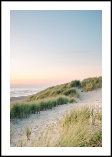Dutch Dunes Plakat / 70x100