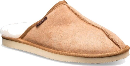Lune00 Chestnut   41