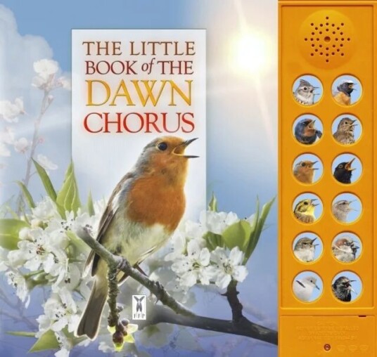 The Little Book of the Dawn Chorus av Caz Buckingham, Andrea Pinnington